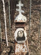 Чикичева Наталья Иосифона