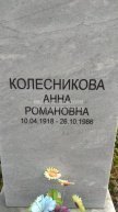 Колесникова Анна Романовна