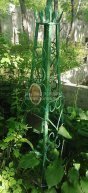 Власенко Мария Евдокимовна