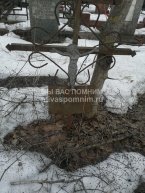 Алешина А.Ф.