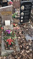 Чистяков Терентий Павлович