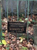 Кушнерёва А.С.