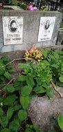 Терехина Анна Зиновьевна