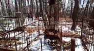 Юпатов Олег Степанович