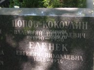 Еленек Евгения Николаевна