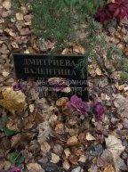 Дмитриева Валентина Сергеевна