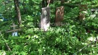 Гришина Лидия Петровна