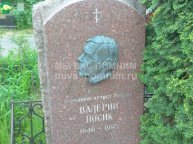 Валерий Носик
