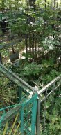 Ермакова Аграфена Алексеевна