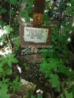 Бурдасов Степан Нестерович
