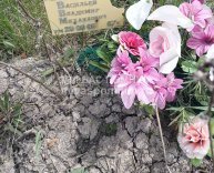 Васильев Владимир Михайлович