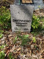 Дмитриченко Владимир Иванович