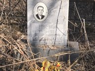 Ниеми Алмар Карпович