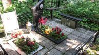 Степанова Анна Алексеевна