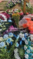 Михайлюк Роман Николаевич