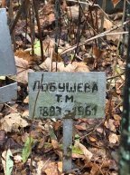 Лобушина Т.М.