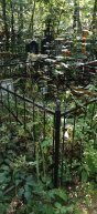 Горелова Анастасия Егоровна
