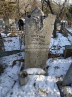 Митина Надежда Васильевна