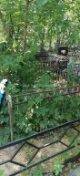 Шумова Надежда Николаевна