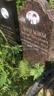 Лопухов Виктор Сергеевич