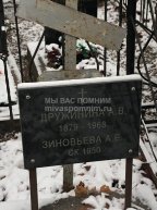 Зиновьева А.Е.