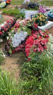 Логинов Станислав Максимович