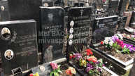 Стебелев Николай Александрович
