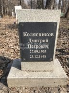 Колясников Дмитрий Петрович
