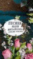 Песина Нелли Михайловна