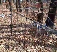 Горшков Степан Михайлович