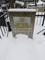 Амитина Анна Ароновна