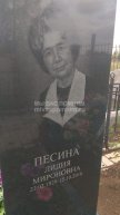 Песин Лидия Мироновна
