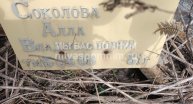 Соколова Алла Владиславовна