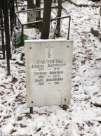Плетнев Николай Дмитриевич