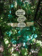 Мадонова Аксиния Андреевна