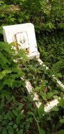Витовская Елизавета Григорьевна
