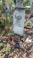 Фенин Никита Иванович