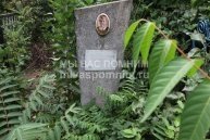 Пищалкина Антонина Павловна