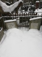 Воронова П.Е.