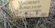 Мосиевич Александр Афанасьевич