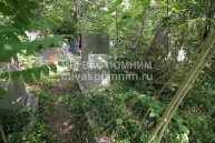 Замураева Дарья Павловна