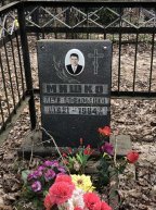 Мишко Петр Васильевич