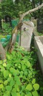 Богачев Федосей Власович