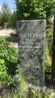 Костенко Ольга Дмитриевна