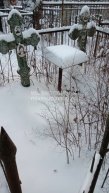 Смирнова Наталья Федотовна