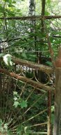 Афанасьева Марина Семеновна