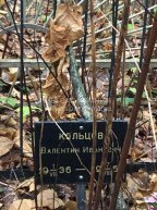 Кольцов Валентин Иванович