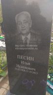 Песин Илья Исаакович
