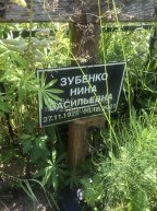 Зубенко Нина Васильевна