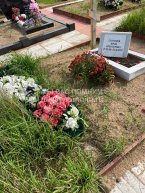 Стегачев Юрий Алексеевич